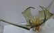 # 11 Lorraine or Chalet? Mid-century blow glass. Made in Canada